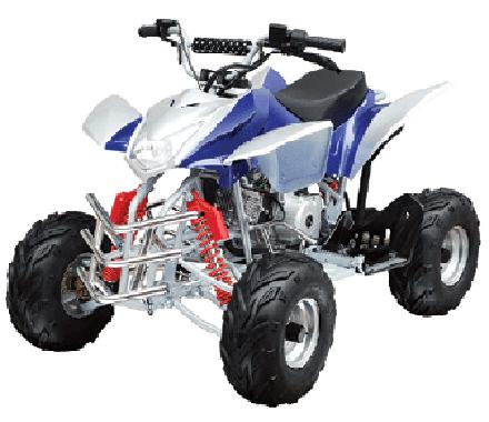 Taotao 110H1